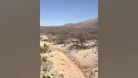 Saguaro East Hike