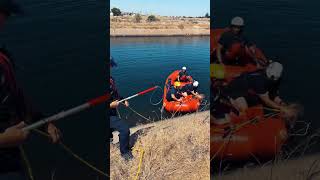 Sacramento Fire Deer Rescue