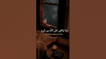 ربنا إنك تعلم مانخفي ومانعلن  |  محمد صديق المنشاوي  |  سورة إبراهيم