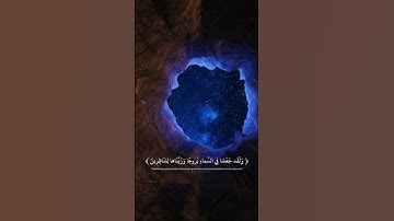 ولقد جعلنا في السماء بروجًا ... - القارئ هزاع البلوشي - تلاوة رائعة من سورة الحجر
