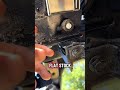 1985 F350 6.0L swapped Bullnose