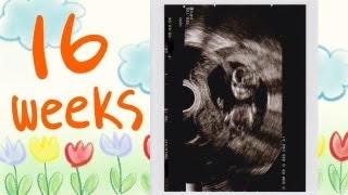 I'm pregnant!【妊娠ブログ】５ヶ月で妊婦帯・腹帯デビュー