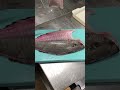ヒラメの５枚おろし