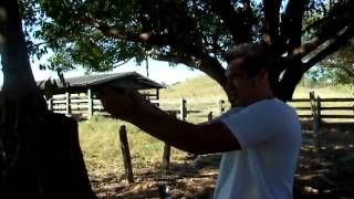 Imagem 139.avi