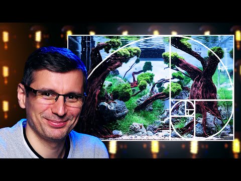 How To Achieve BREATHTAKING Aquarium Looks | Aquascaping COMPOSITION Masterclass