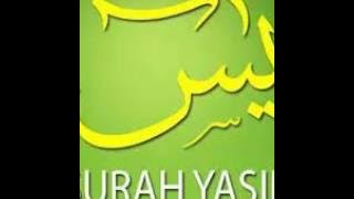 Bacaan Surat Yasin yang menyentuh hati