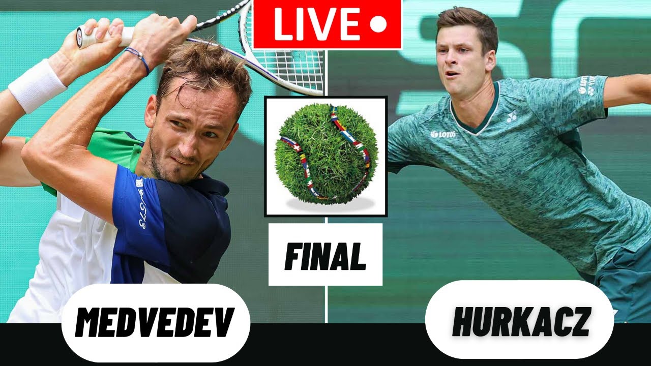 medvedev hurkacz live