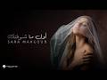 Sara Mahgoub - Awel Mashouftak | Lyrics Video 2026 | ساره محجوب - أول ما شوفتك