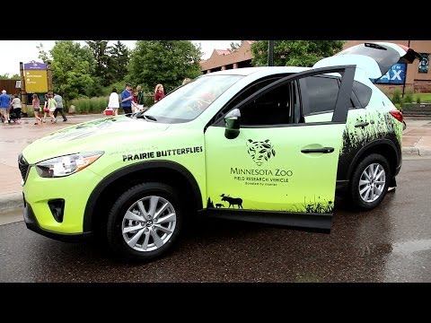 Prarie Butterfly Conservation