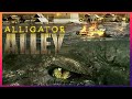 Alligator alley  les dents du bayou  film intgral