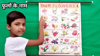 Flowers Name in English & Hindi | Learn Flowers Name | फूलों के नाम | Names of Flowers