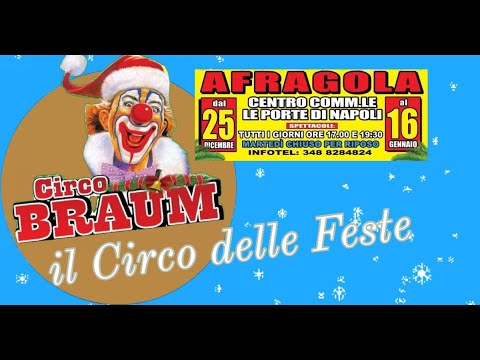 Natale al Circo Braum - Il Circo delle feste ad Afragola (NA) 2022/ ...