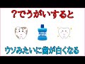 日常で使える有益な雑学【○○でうがいと噓のように歯が白くなる】 -- 興味深い事実