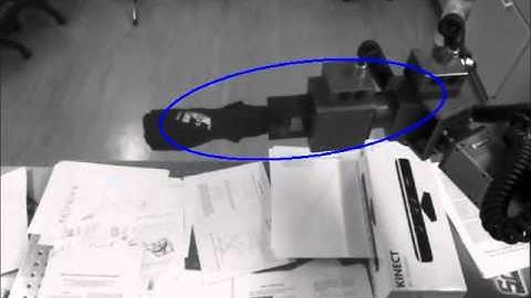 Learning Visuomotor Transformations and End Effector Appearance by Local Visual Consistency