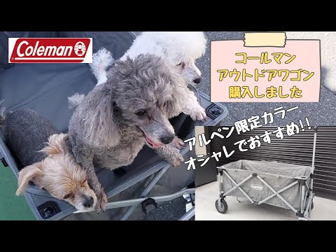 Coleman - 【限定色】コールマン　ワゴン　アルペン　グレー hqdefault.jpg