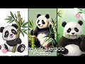 How to draw a panda in bamboo forest step by step for beginners
