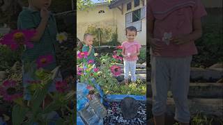 Download Lagu Yellsa Raka Ziarah ke makam Buyut #youtubeshorts #shortvideo #shorts #ytshorts #ziarah #anakhebat MP3