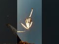 Shooting into 2024 like…✨#skydiving #sunset #fireworks #shorts #electronicmusic 📹: redbullairforce