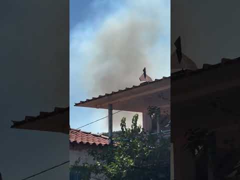 Φωτιά στη Μεσσηνία (1)