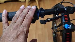 Haibike Flyon 10.0 Power On Stopped Clicking? Is It A Common Issue?