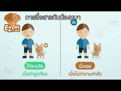 วีดีโอ: การสื่อสารกับสุนัข: วิธีตีความสุนัข