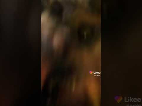 هنا القوه والاثاره والهيبه