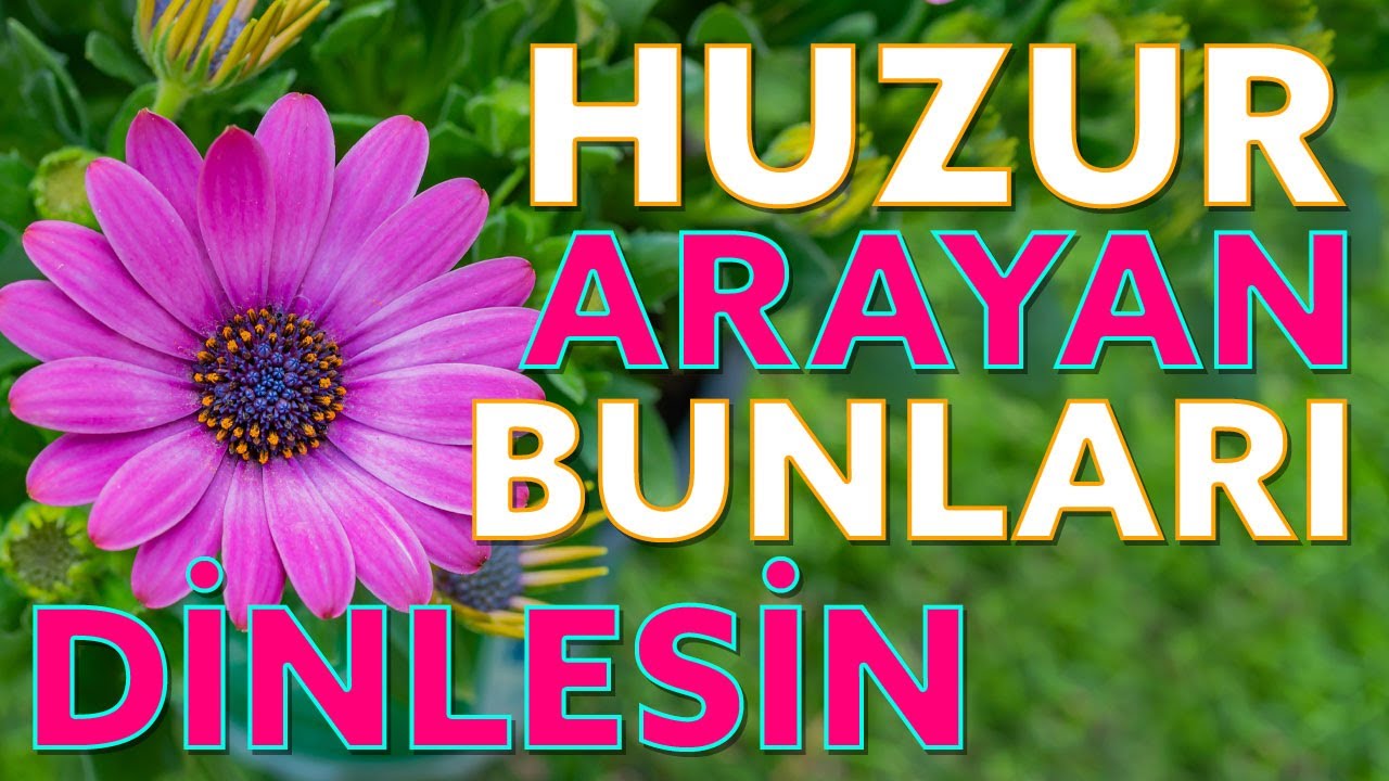 Özlemin Dile Geldiği İlahiler  /  YALAN DÜNYA DEĞİLMİSİN