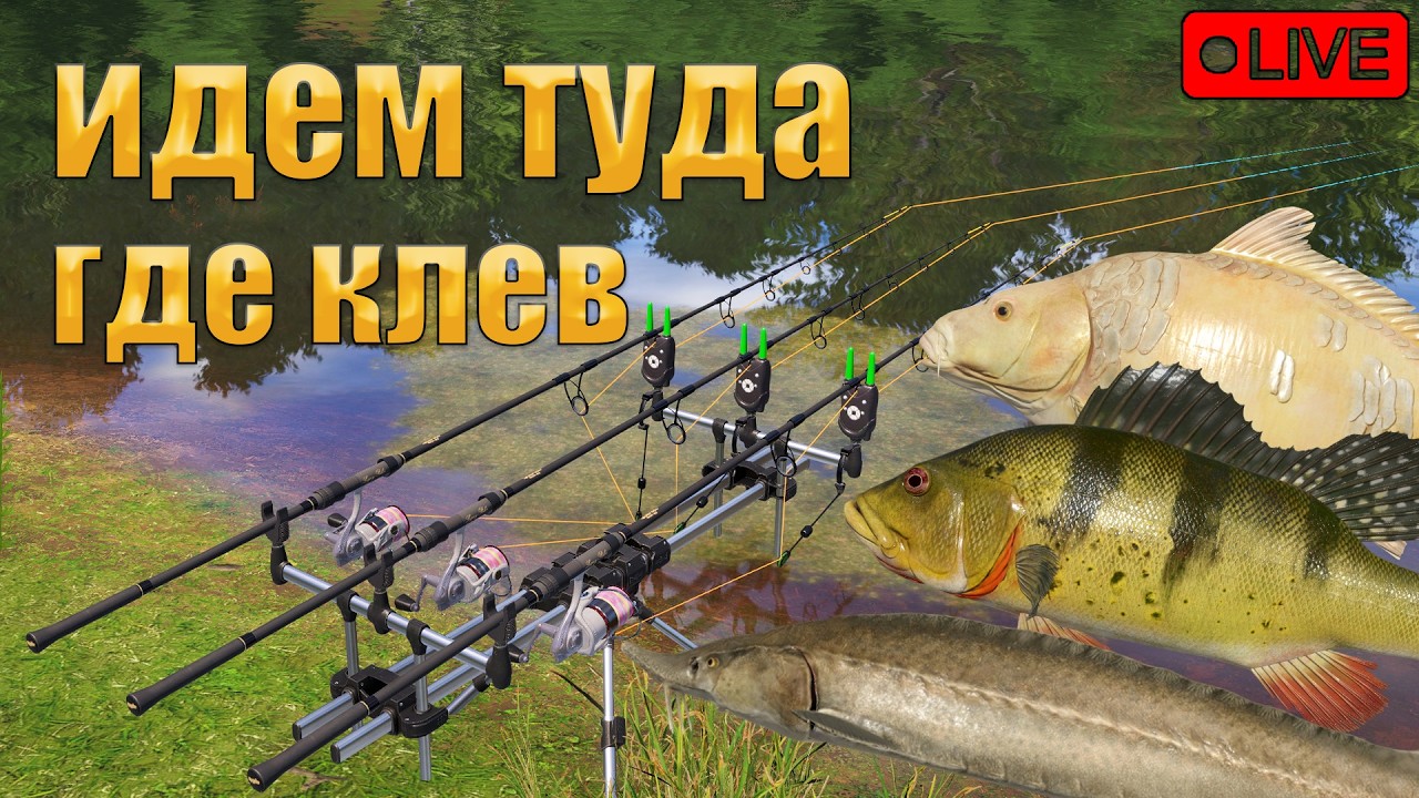 🔴ПРЯМОЙ ЭФИР В РУССКАЯ РЫБАЛКА 4/МУЗЫКАЛЬНЫЙ СТРИМ!💰