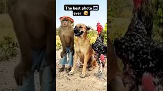 the best photo of the year 🤣 #funnyshorts #funnyphotos #comedyshorts