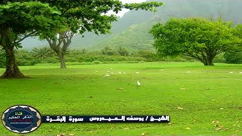 سورة البقرة كاملة بصوت الشيخ يوسف العيدروس #يوسف_العيدروس #سورة_البقرة #قرآن #fyp
