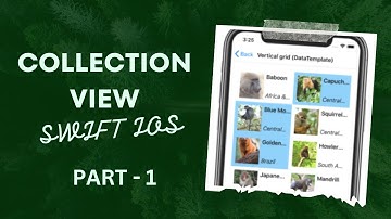 UICollection View Part 1