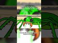 Part 3 of What its like to fight the worlds deadliest beetles