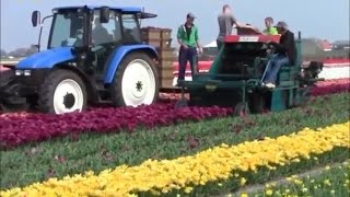 เครื่องทำดอกไม้ที่ยอดเยี่ยม - เครื่องจักรกลหนักรุ่นใหม่ - การเกษตรที่ดีที่สุด