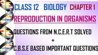 CLASS 12 | BIOLOGY | CHAPTER 1| REPRODUCTION IN ORGANISMS | NCERT EX. QUESTIONS+CBSE BASED IMP QNS