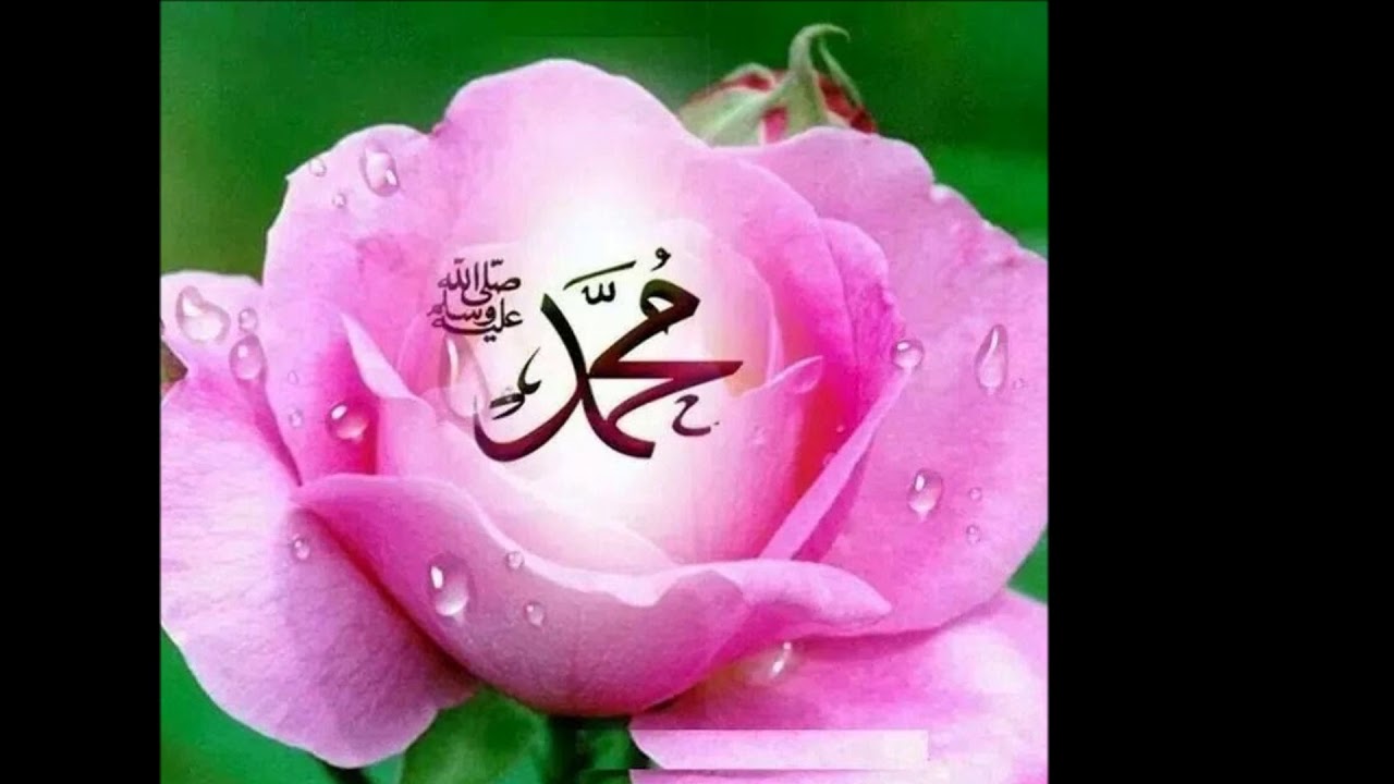 Hz что это. Мусульманские цветок красивый. Красивые исламские цветы. Аллах и цветок.