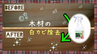 押入れの白カビを落としてみました【木材の白カビの落とし方。カビを擦ってはいけない！カビホワイトのスプレーと乾燥を数回繰り返せば、かびは綺麗に落とせます。２０年間放置された押入れのカビを落とし】