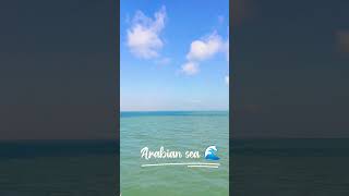 Arabian Sea