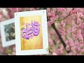 142 EN SUB ناصر عبداللهی یا فاطمه بنت نبی O Fatimah S Daughter Of The Prophet S 