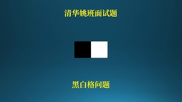清华姚班面试题，考验计算机天赋的黑白格问题！