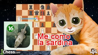 Mittens vs Stockfish 15: Locura de Ajedrez