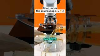 under the microscope Bear#shortvideo #microscope #usashorts