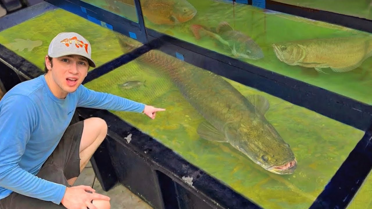 J'ai acheté le plus gros poisson du magasin !