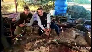 Gran montería organizada por (J.V.O/B.M.T)