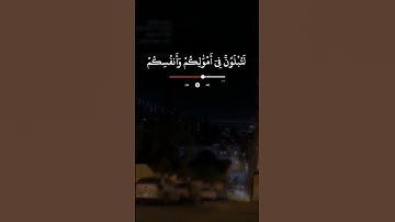 القارئ سعد الغامـدي (سورة آل عمران)