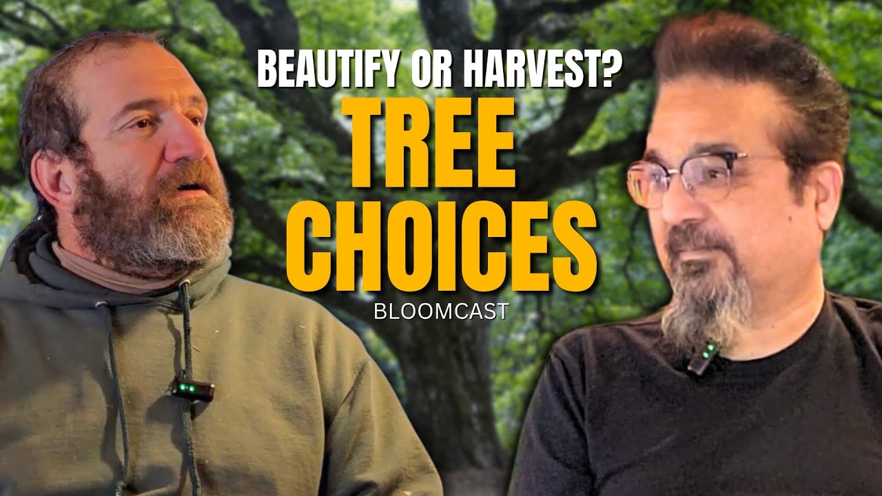 How to Keep Your Trees & Plants Healthy | Expert Advice on Care ...