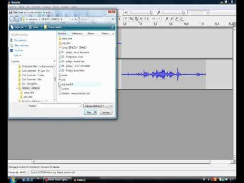 Tutorial audacity - YouTube