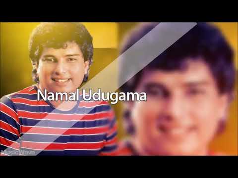 Meheniyaka Wee Sasara Katharin - Namal Udugama {මෙහෙණියක වී සසර කතරින්}