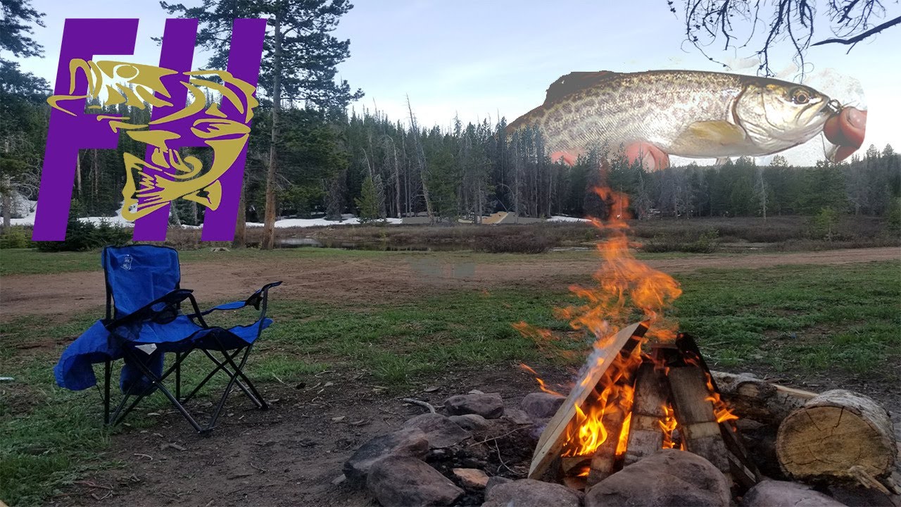 High Uintas Tiger Trout (Fly Fishing) YouTube