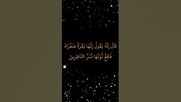 تلاوة #آيات من سورة #البقرة #المصحف #اكسبلور #تلاوة_خاشعة #راحة_نفسية #صلوا_على_النبي #اطمئن #ترند
