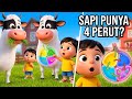 Sapi Ternyata Punya 4 Perut?#edukasianak #kidslearning #kartunanak